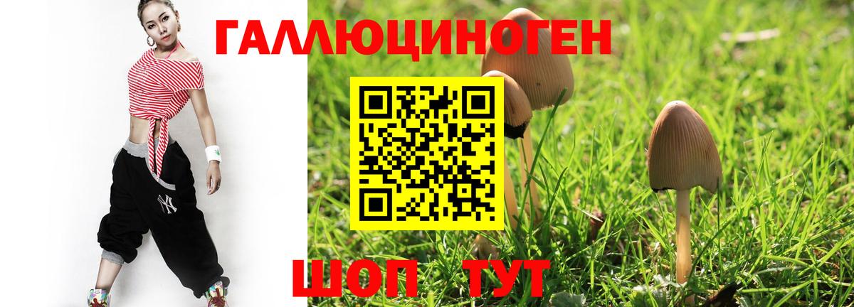 Кстово  Псилоцибиновые грибы мицелий  Вход с VPN  Псилоцибиновые грибы Cubensis 